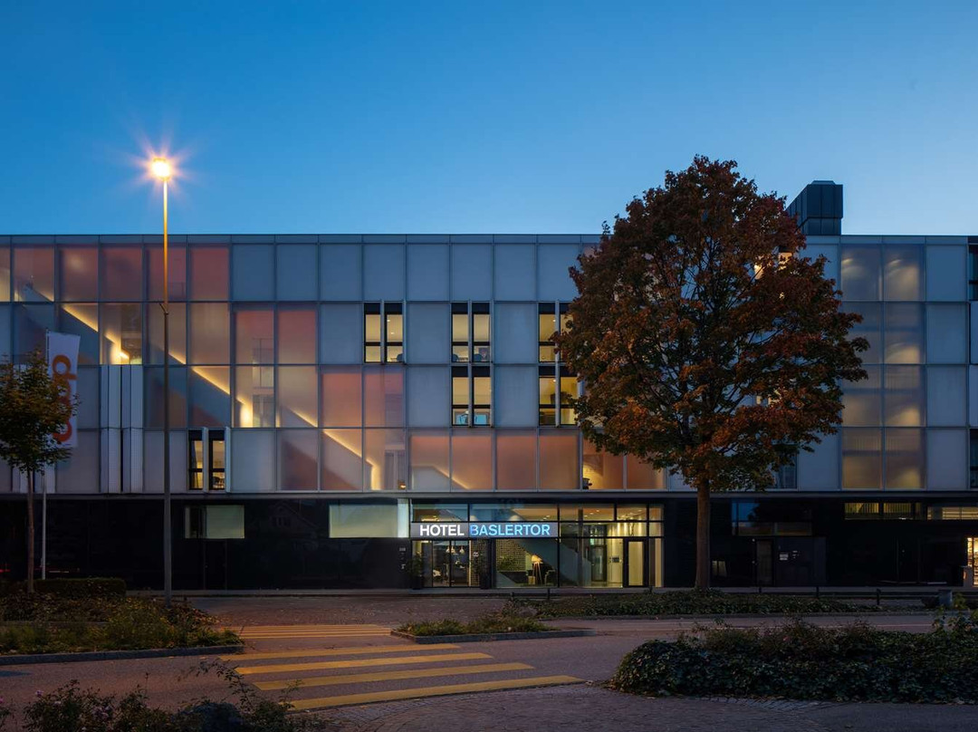 巴斯勒特瑞士优质酒店主图