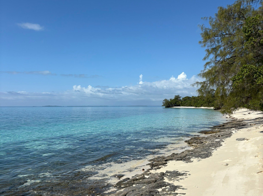 Pemba Island-奔巴岛必去景点