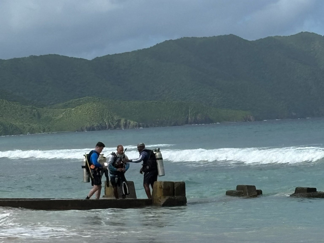 Sweet Bottom Dive Center-圣克鲁斯必去景点