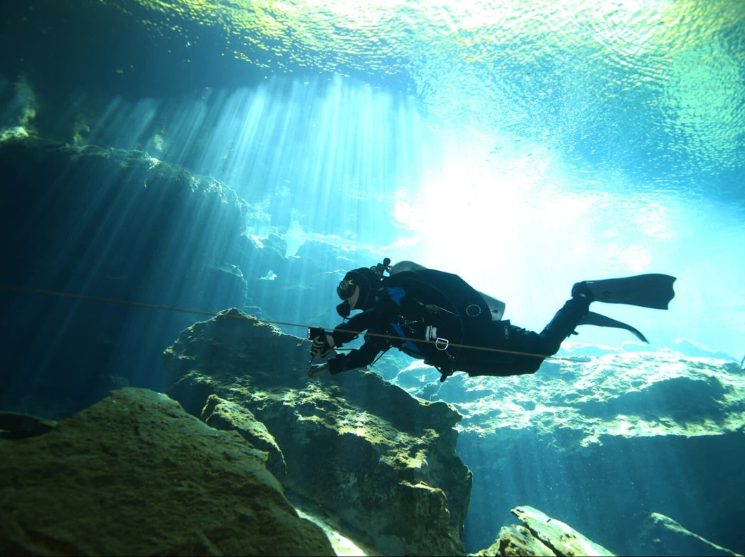 Liquid Planet Dive Centre-卡拉罗港口必去景点