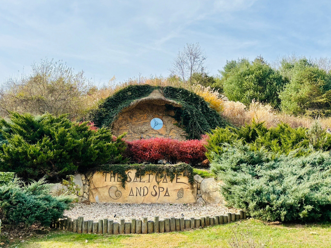 The Salt Cave And Spa