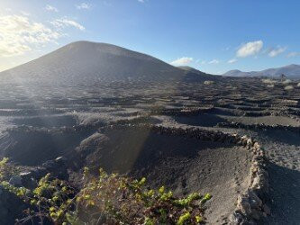 Wine Tours Lanzarote-卡门港必去景点