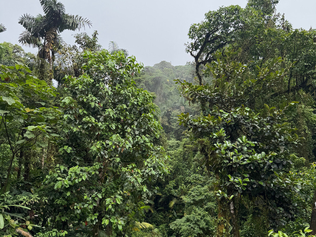 Serendipity Adventures-图里亚尔瓦必去景点