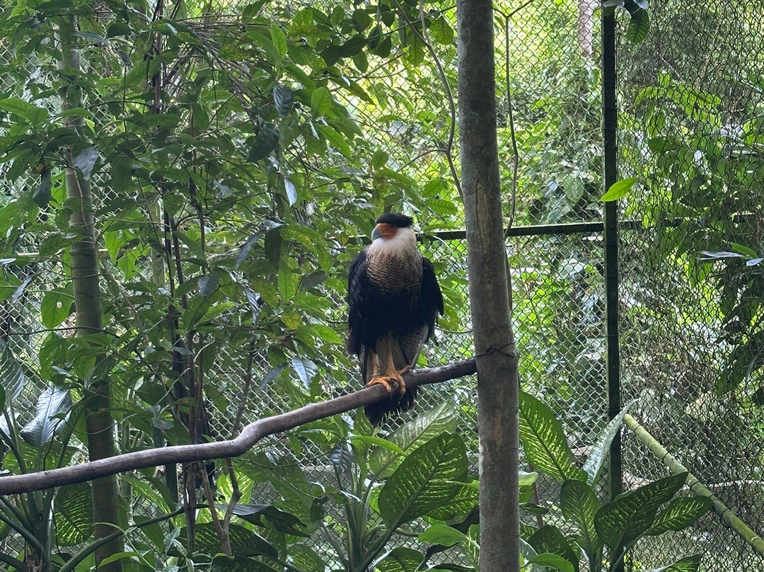 Aluxes Ecoparque-帕伦克必去景点