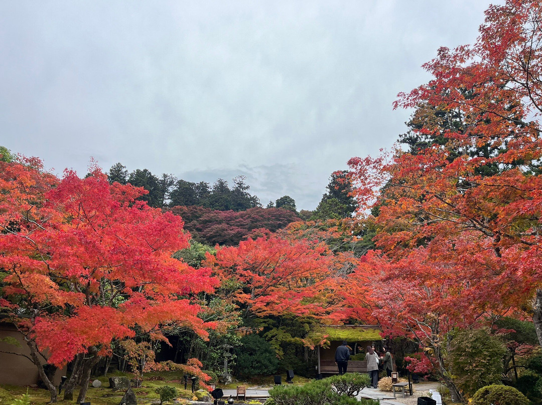 Entsu-in Temple-松岛町必去景点