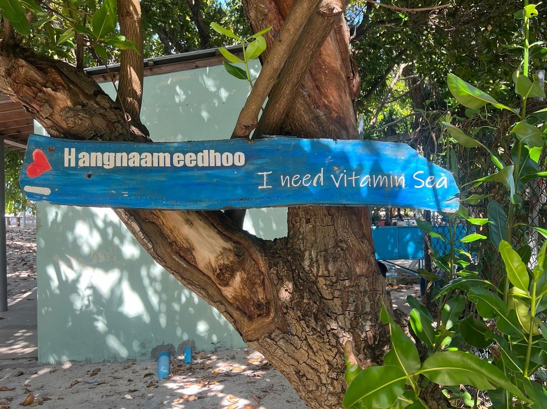 By The Shade Maldives主图