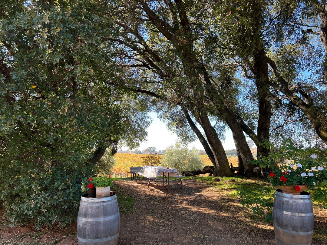 Amador Cellars-Plymouth必去景点