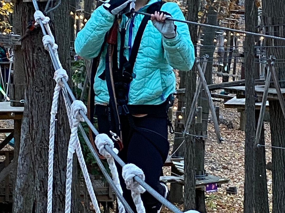 TreeRunner West Bloomfield Adventure Park-西布鲁姆菲尔德必去景点