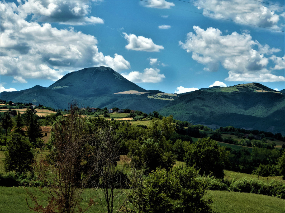 B&B Quelli del Picchio