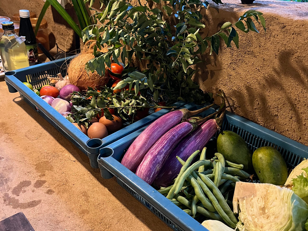 Ella Green Grow Cooking Class-埃勒必去景点