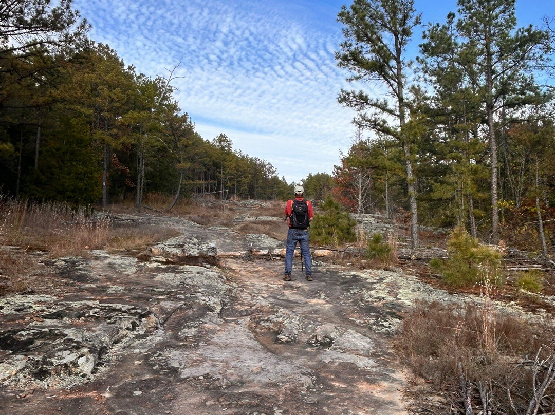 Seven Hollows Trail-Morrilton必去景点