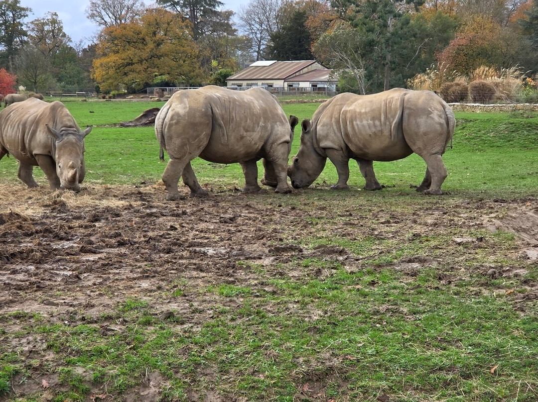 科茨沃尔德野生动物公园和花园-伯福德必去景点