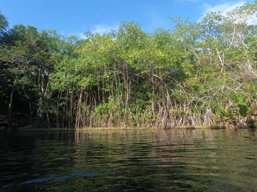 Tulum Private Tours-图伦必去景点