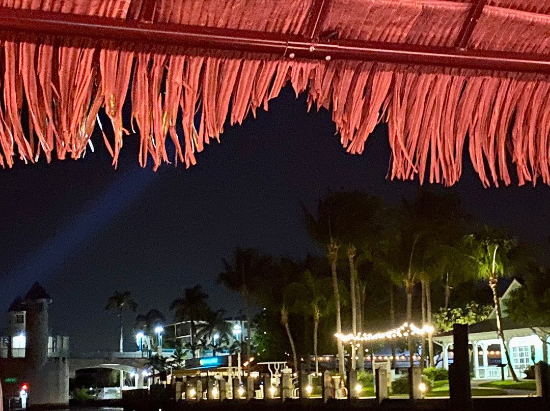 Tiki Taxi & Cruises-博因顿海滩必去景点