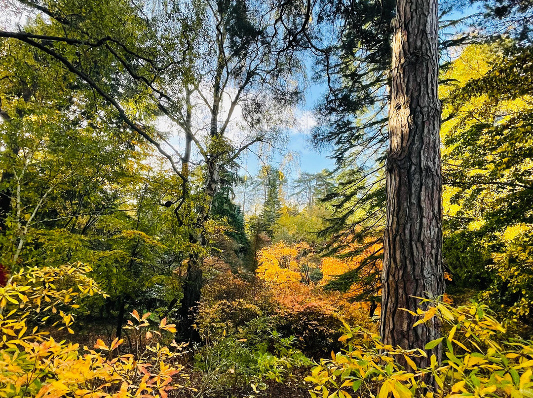 Bodnant Garden-Tal-y-Cafn必去景点