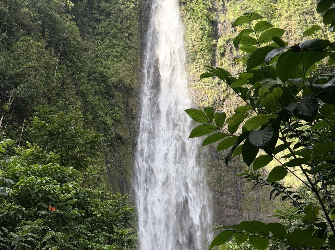 Waimoku Falls-毛伊岛必去景点