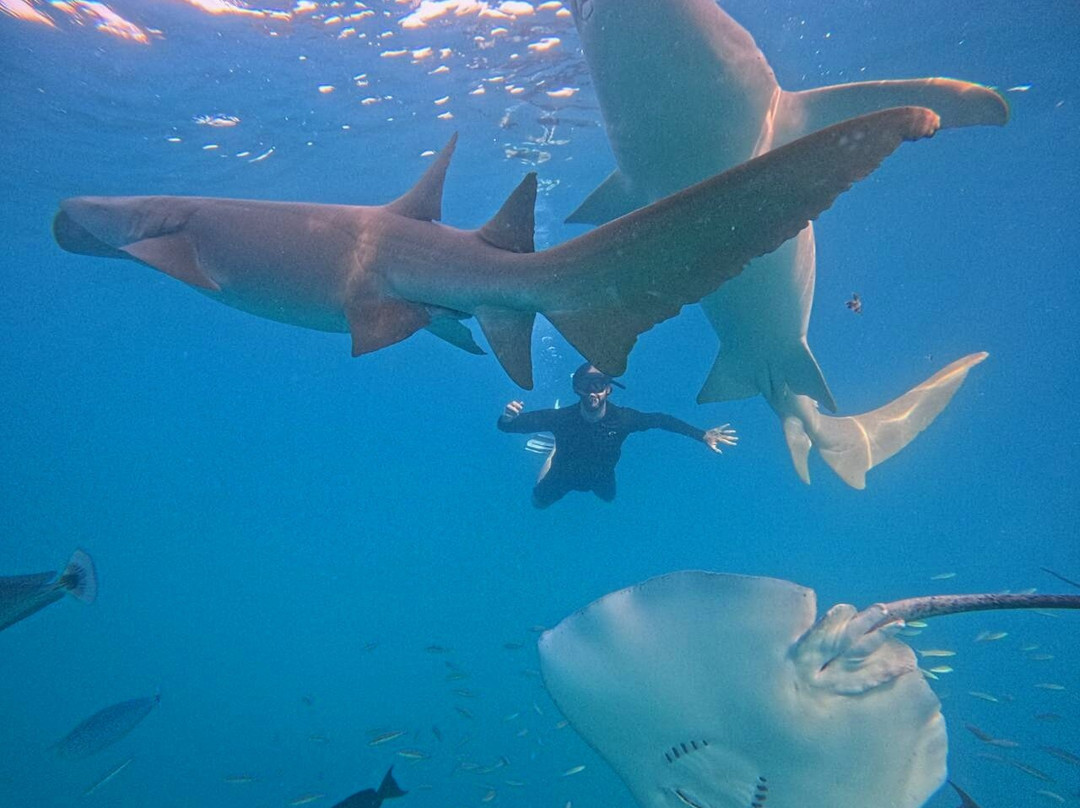 Pearlshine Tours-Gulhi Island必去景点