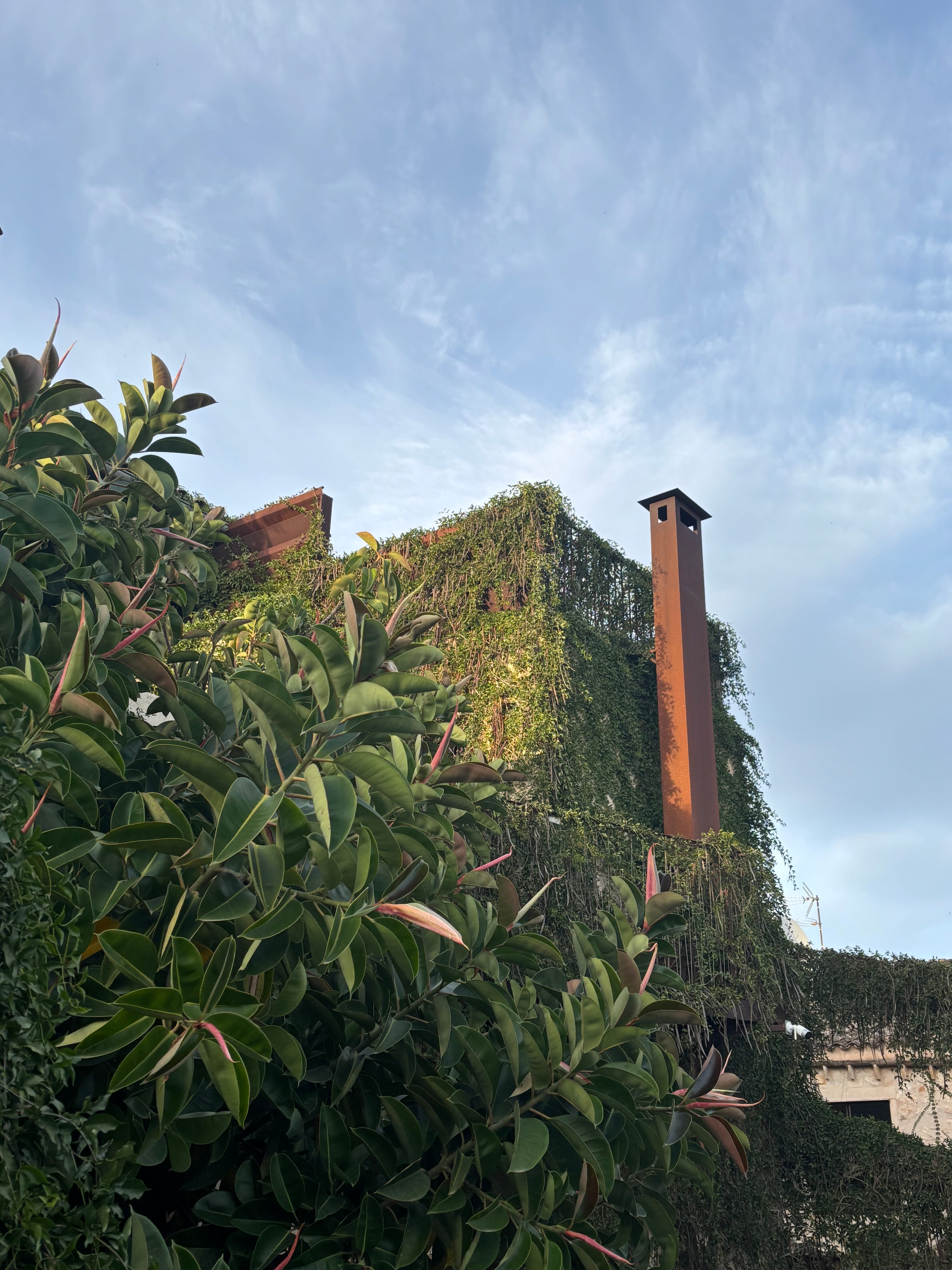 Can Joan Capo Hotel-官方