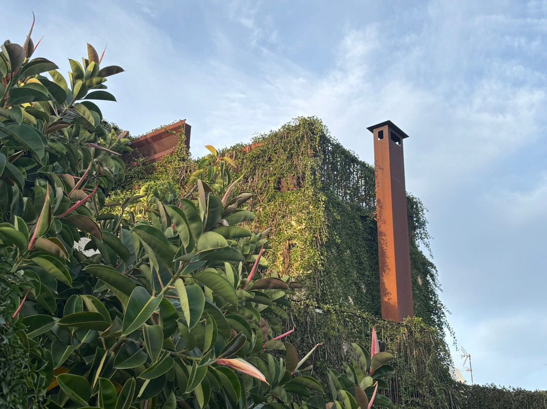 Can Joan Capo Hotel主图