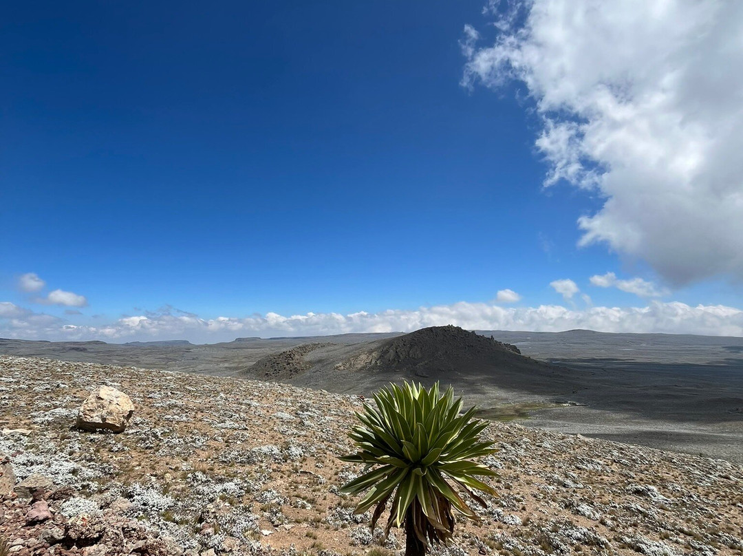 Discover Simien Tour-亚的斯亚贝巴必去景点
