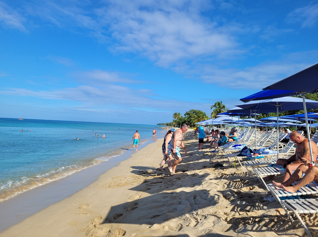Virgin Islands Ecotours-圣 托马斯必去景点