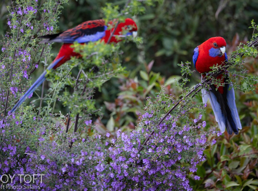Unearth Adventure-拉布拉多必去景点