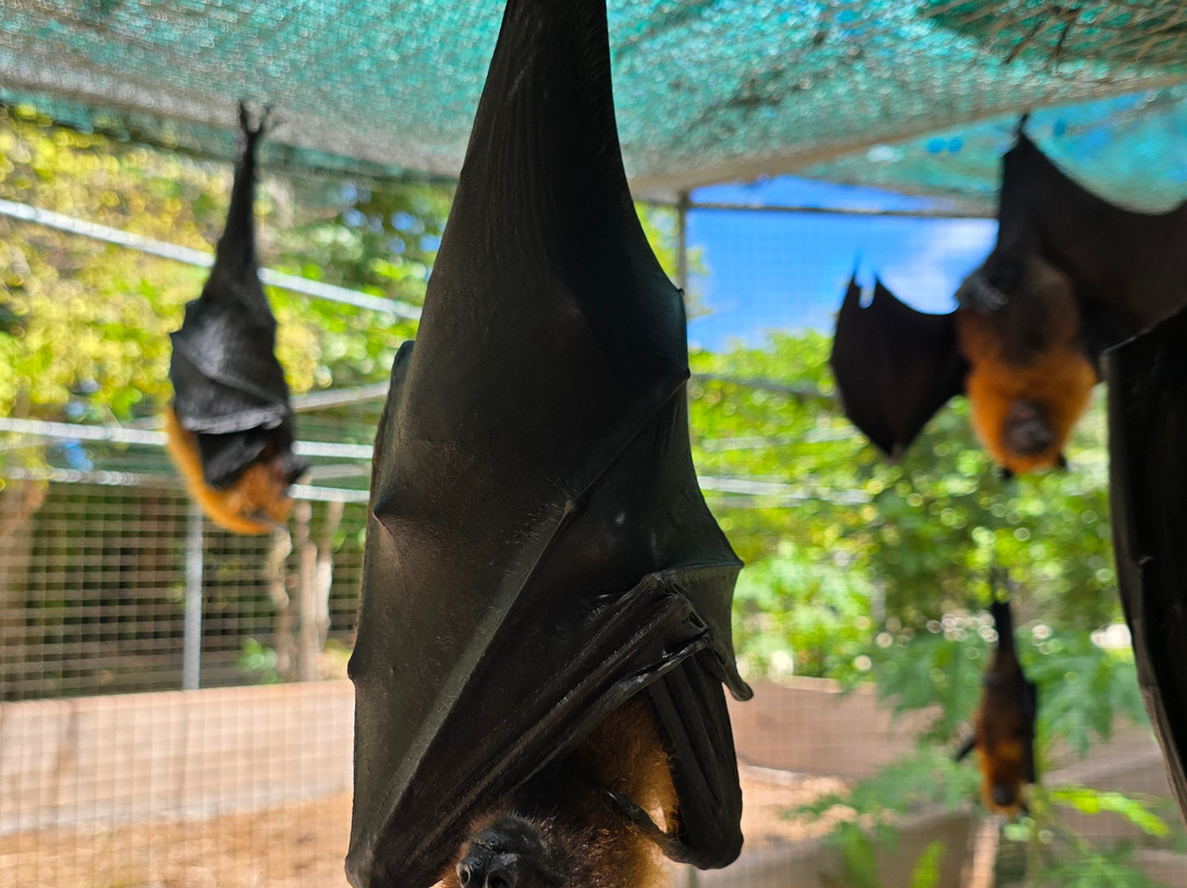 Praslin Museum-普拉兰岛必去景点
