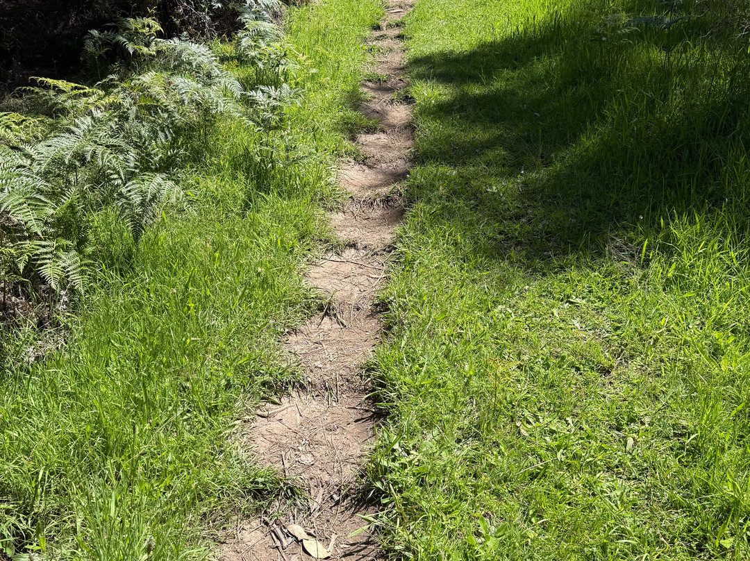 Walk91-阿波罗湾必去景点