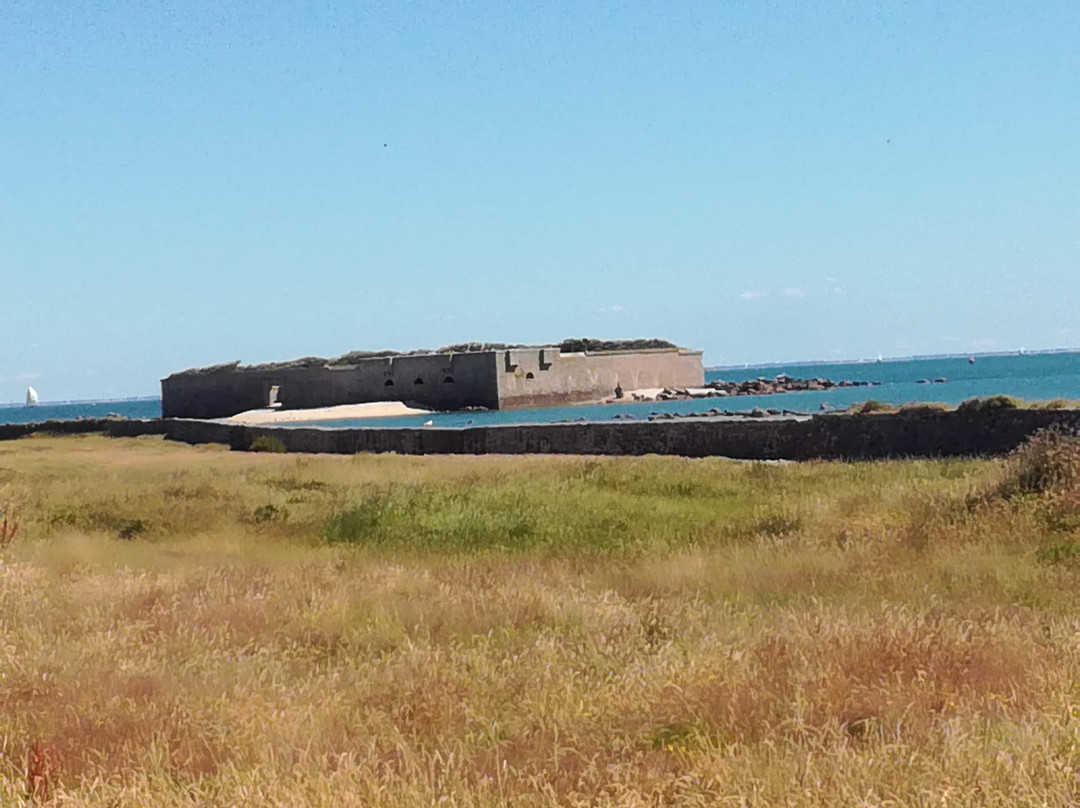 Tatihou Island-Saint-Vaast-la-Hougue必去景点