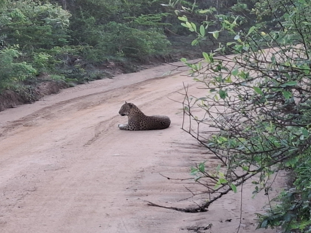 Freedom Safari Jeep Tours-蒂瑟默哈拉默必去景点