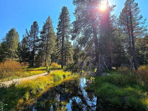 Donner Memorial State Park and Emigrant Trail Museum-特拉基必去景点