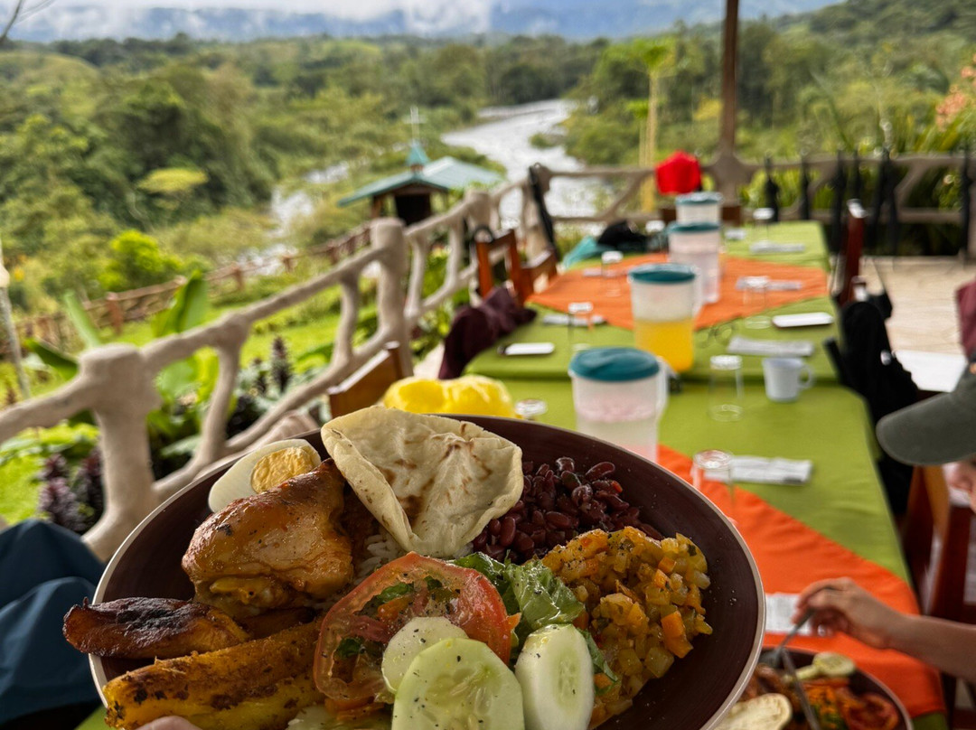 Finca Ecoorganica Sarapiqui-La Virgen必去景点