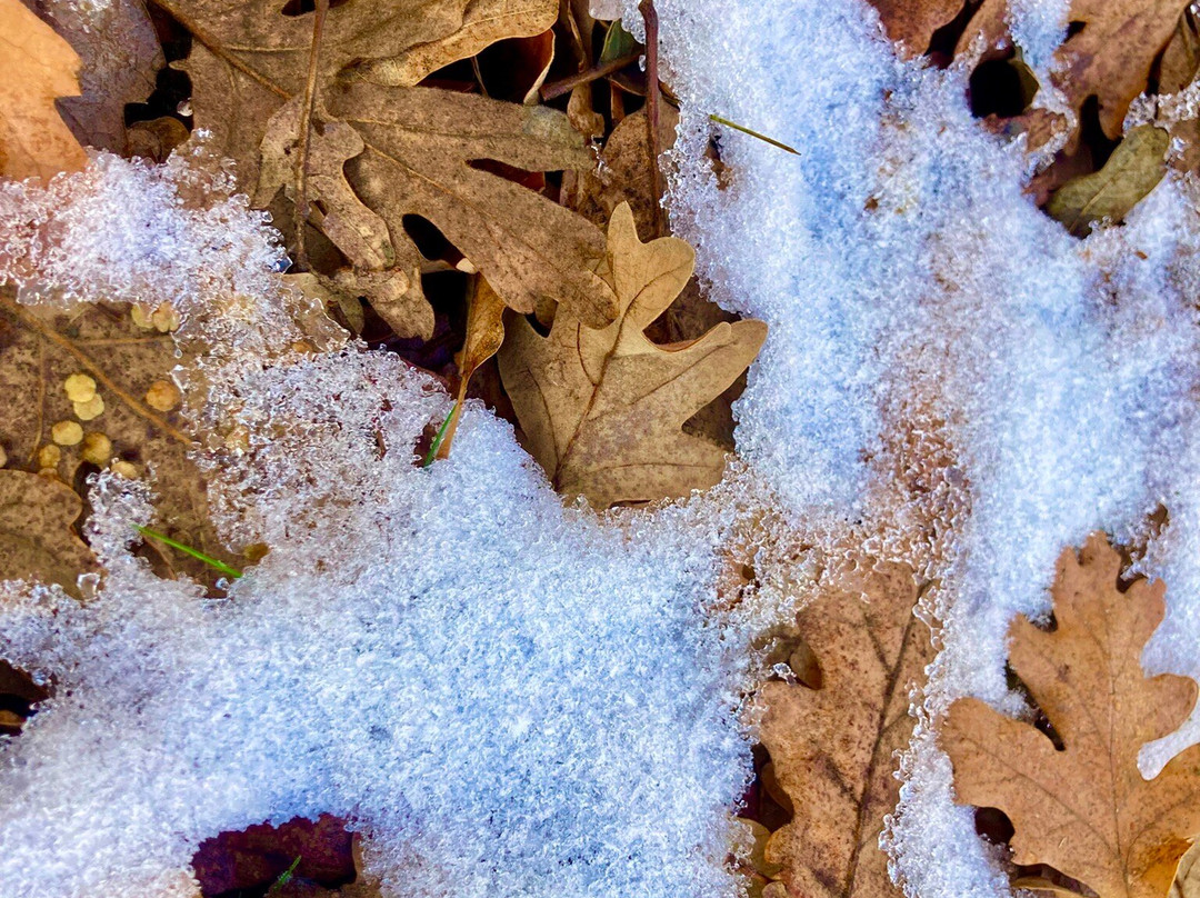 Paleolitico Vivo-布尔戈斯省必去景点