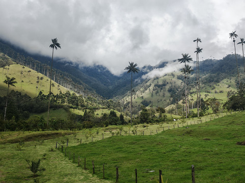 LAND SHARK TRAVEL-佩雷拉必去景点