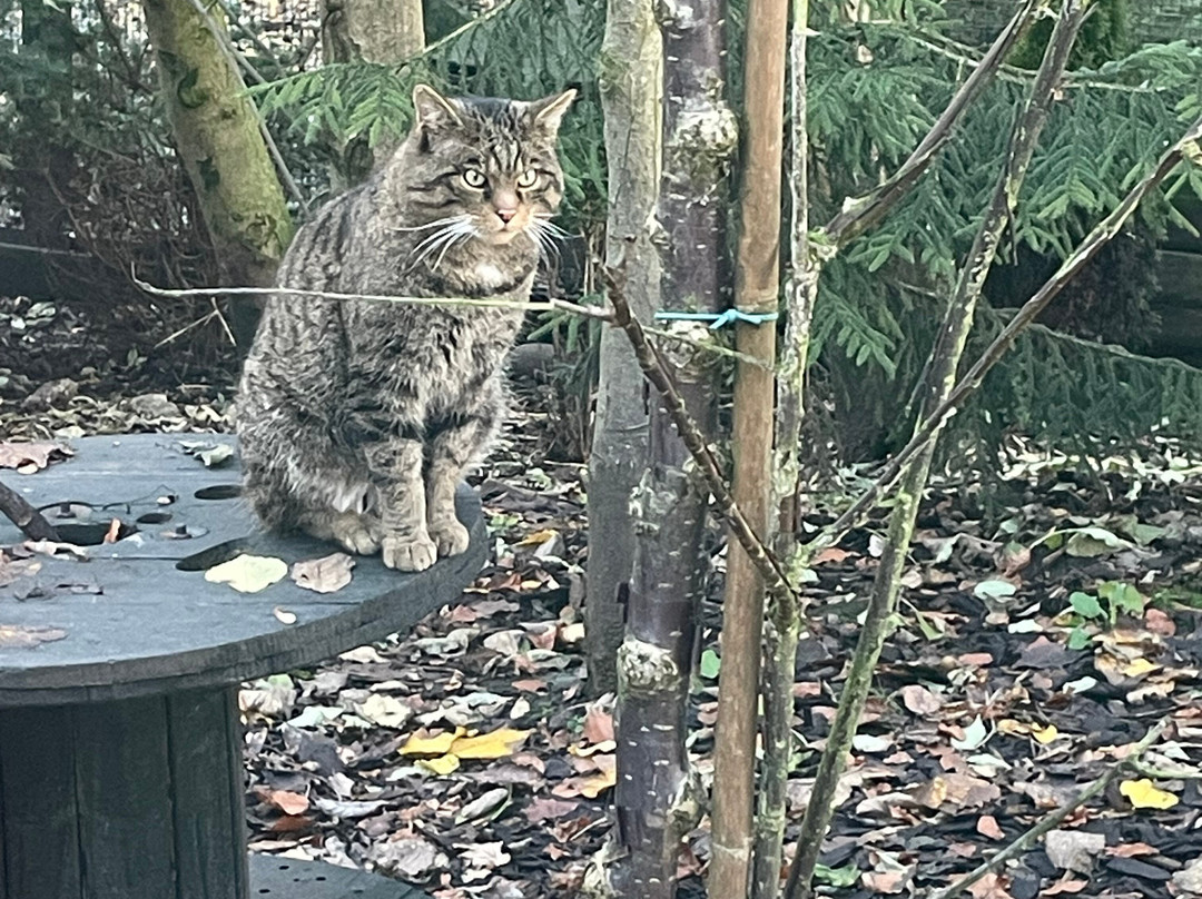 Five Sisters Zoo-West Calder必去景点