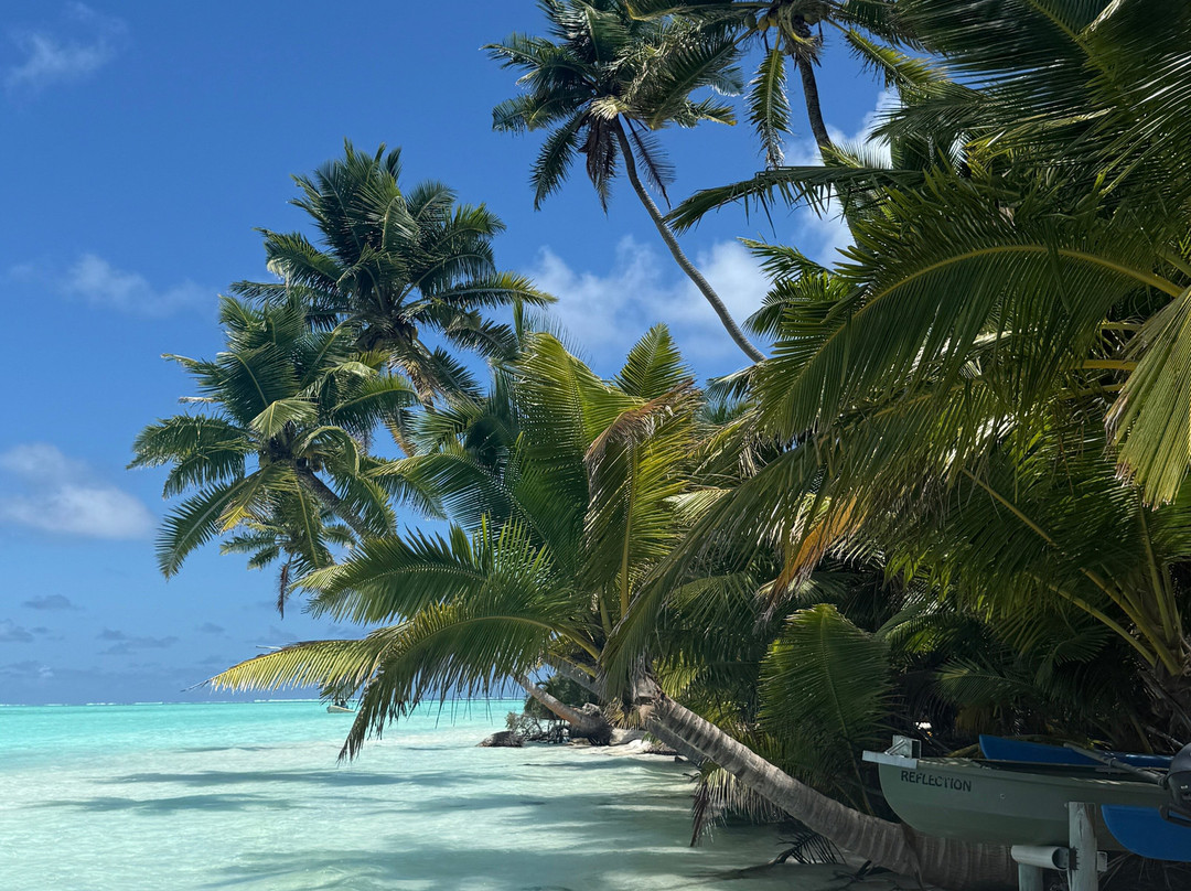 Cocos Islands Adventure Tours-West Island必去景点