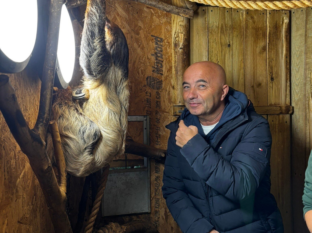 Lincoln Zoo-Newball必去景点