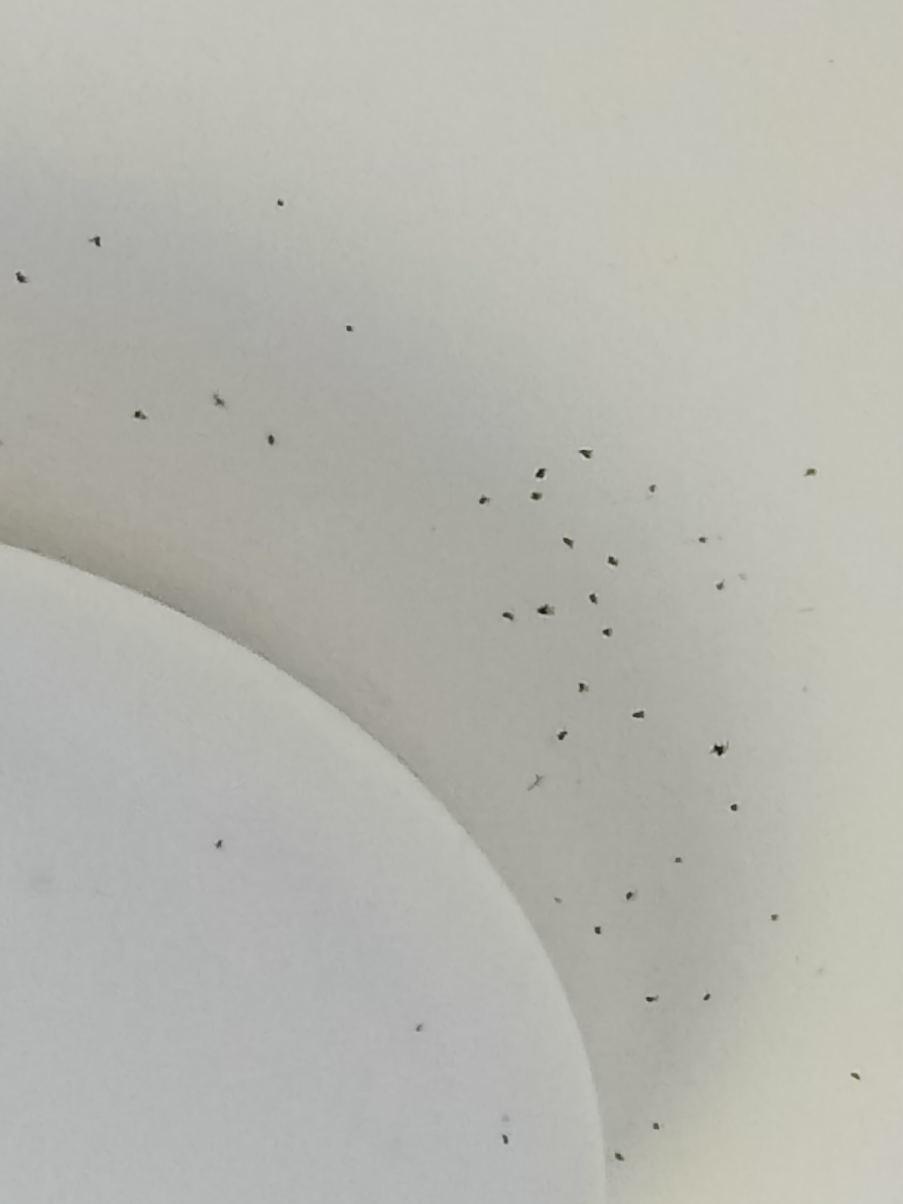 Sanctuary Inn on Westernport-浴室