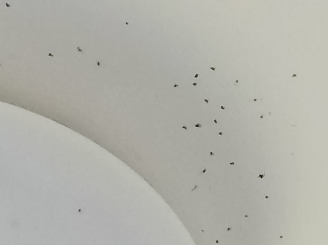 Sanctuary Inn on Westernport主图