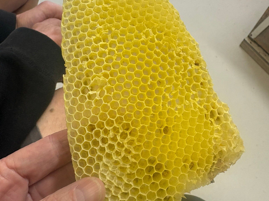 Kangaroo Island Living Honey-袋鼠岛必去景点