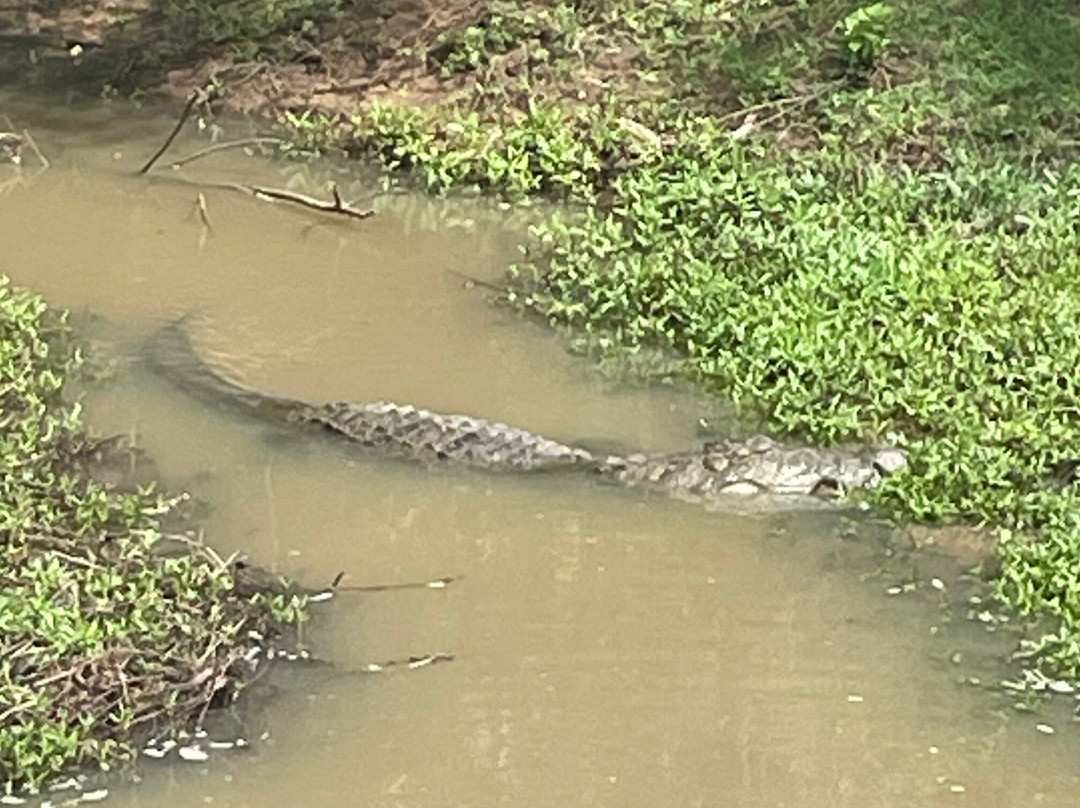 D.S Tours Day Tours-尼甘布必去景点