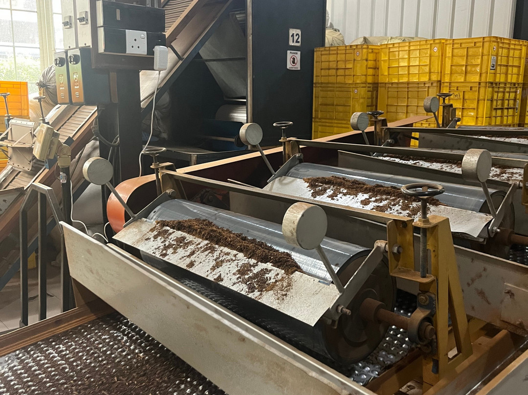 Pilimathalawa Tea Factory-Pilimathalawa必去景点