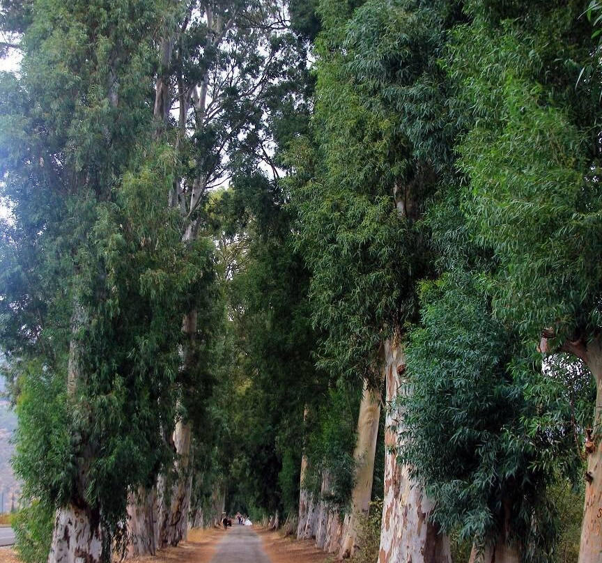 Akyaka Aşıklar Yolu-穆拉必去景点