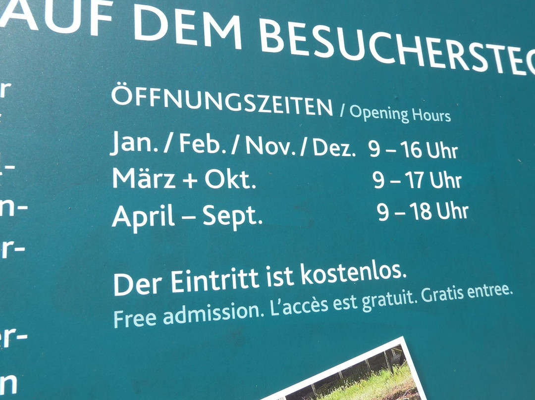 Barbarathermen-特里尔必去景点