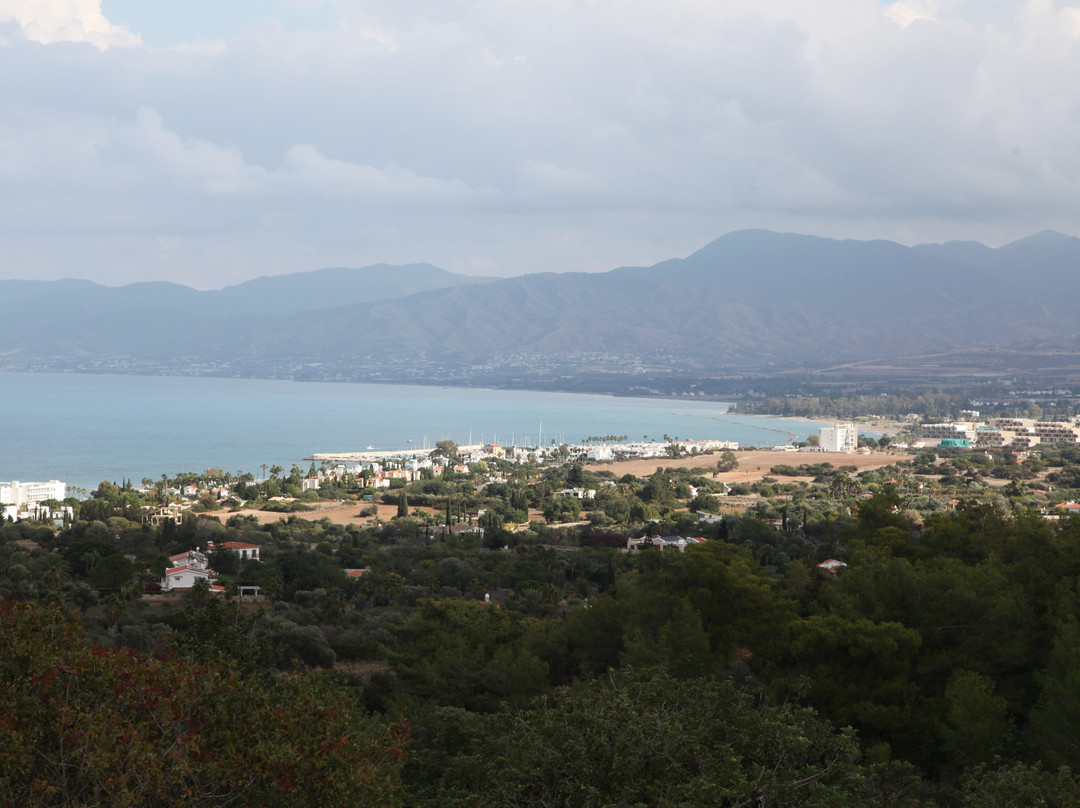 Golden Ride Rentals & Safari-帕福斯必去景点