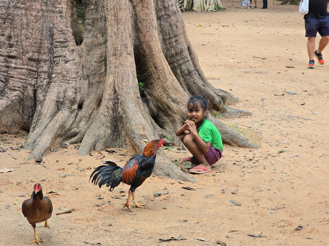 Vietnam Dragon Travel-河内必去景点