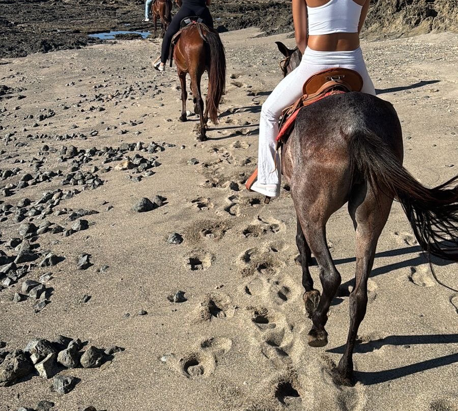 Guti Tours-Playa Avellanas必去景点