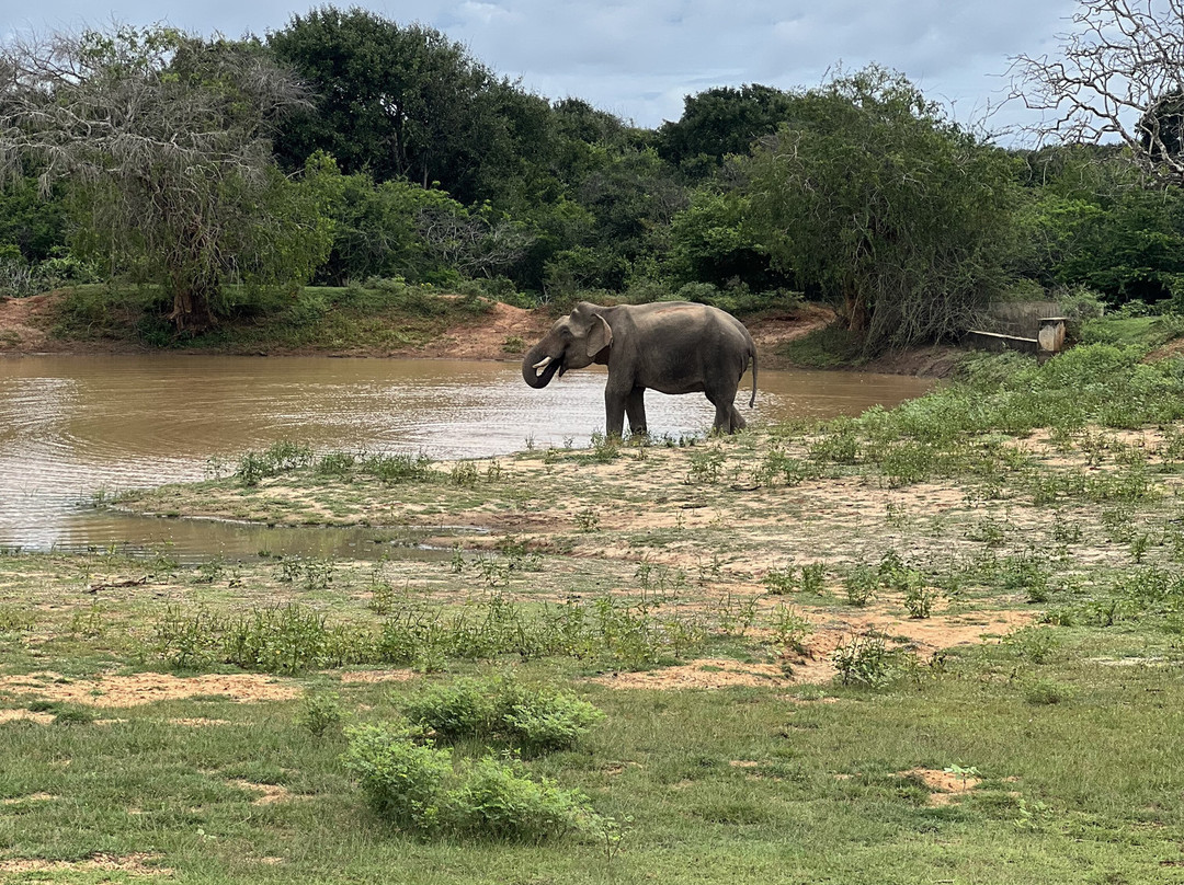 Fernando Tours Sri Lanka-Ja Ela必去景点