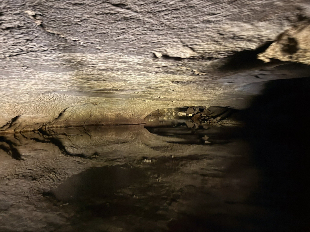 Van Long Nature Reserve-宁平必去景点