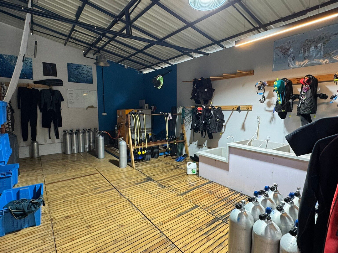 Awequatic Divers-拉斯胡必去景点